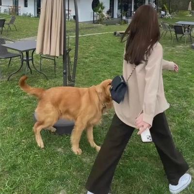 控诉